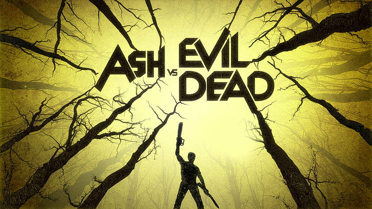Ash Vs Evil Dead, Inscription, Wood, HD wallpaper