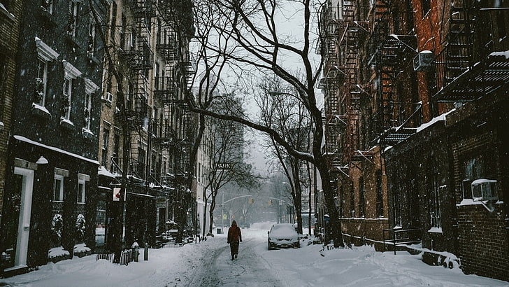 winter, street, city, snow, trees, road, nature, cold temperature, HD wallpaper