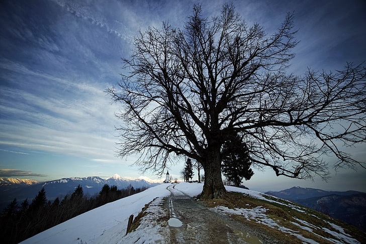 landscape, church, trees, cold temperature, snow, winter, sky, HD wallpaper