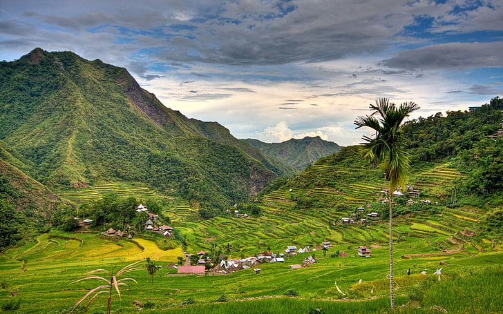 Banaue rice terraces philippines-National Geograph.., plant, scenics - nature