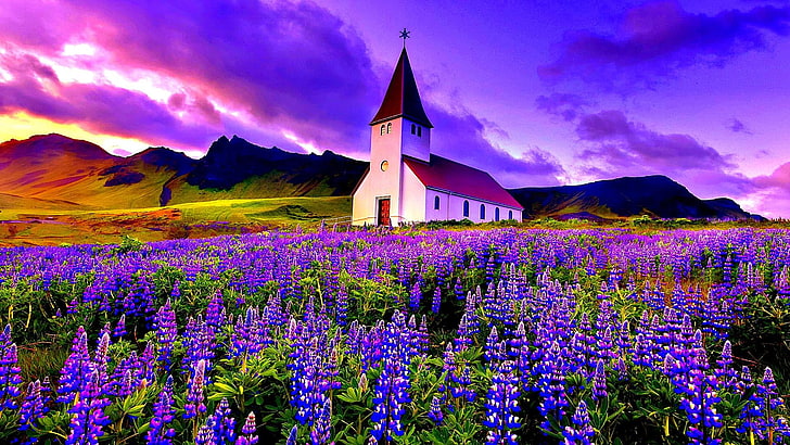 spring, hillside, iceland, vik i myrdal church, blooming, mount scenery, HD wallpaper