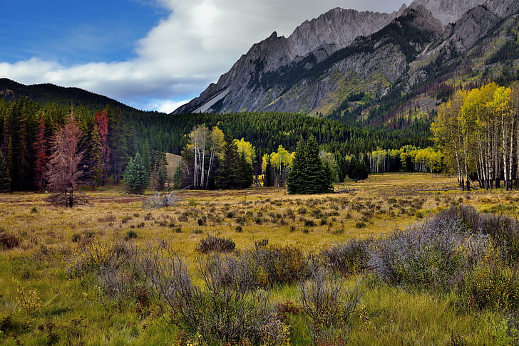 landscape photography of mountain beside forest, banff national park, banff national park