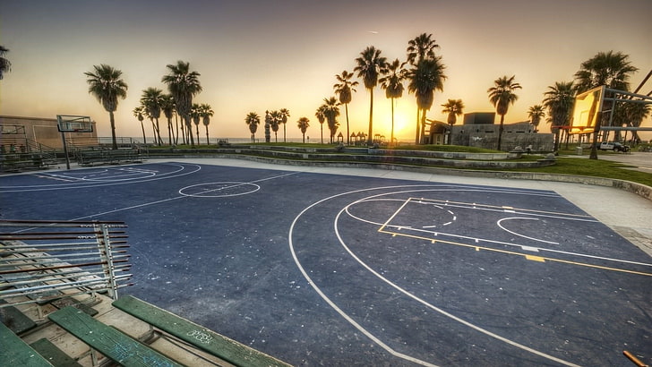 gray basketball court, beach, palm trees, Los Angeles, Venice, HD wallpaper