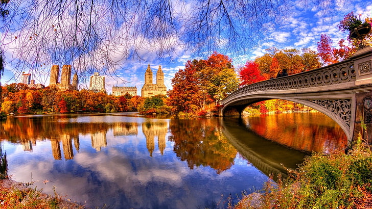river, bridge, bow bridge, united states, new york city, manhattan, HD wallpaper