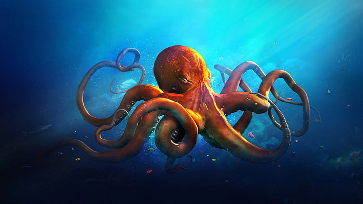 Desktop Wallpaper Hd Orange Octopus Blue Seawater, underwater, HD wallpaper