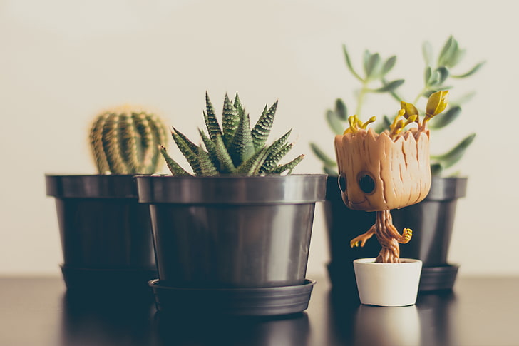 cactus, plants, pot, baby groot figure, Flowers, table, indoors, HD wallpaper