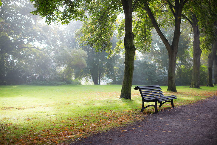 bench near pathway under trees, Bänk, Canon EF, mm, F/1.2, USM, HD wallpaper