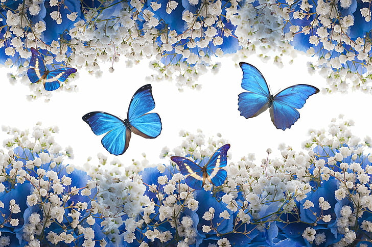 Artistic, Butterfly, Abstract, Blue, Flower, White Flower, beauty in nature, HD wallpaper