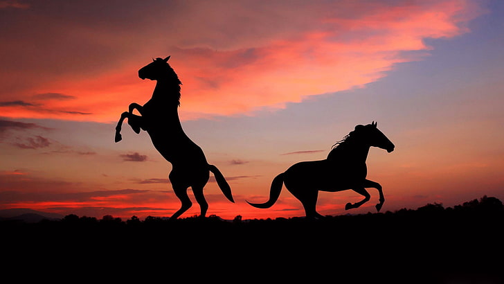 silhouette of two horses, shadow, sunset, outdoors, back Lit