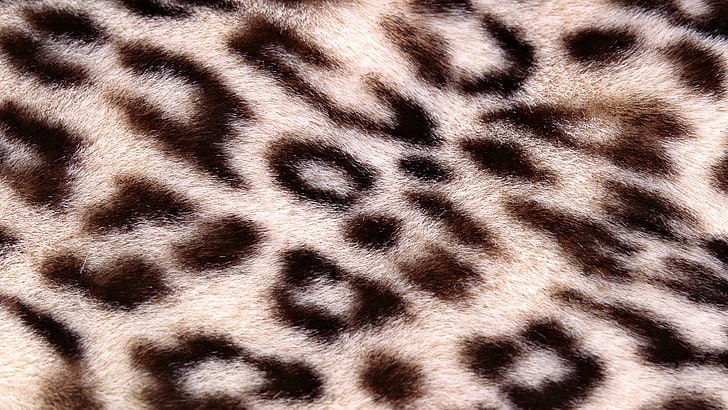 white and brown leopard print textile, background, texture, spotted