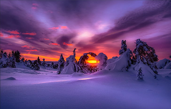 landscape, nature, purple sky, winter, snow, sunset, HD wallpaper
