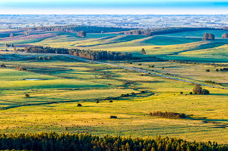 green grass field photo in daytime, fields, aerial, hills, mountains, HD wallpaper
