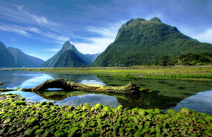 landscape photography nature mountains moss milford sound fjord national park new zealand, HD wallpaper