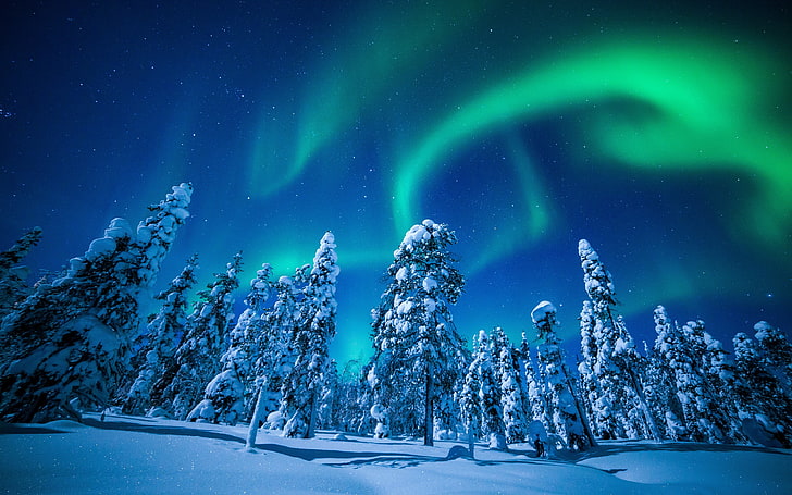 Finland winter forest aurora 4K Ultra HD, snow, cold temperature