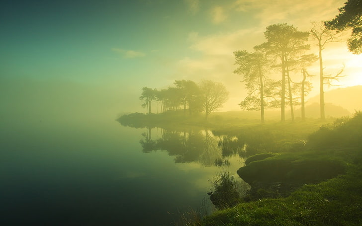 nature, mist, lake, trees, sunlight, dappled sunlight, landscape, HD wallpaper