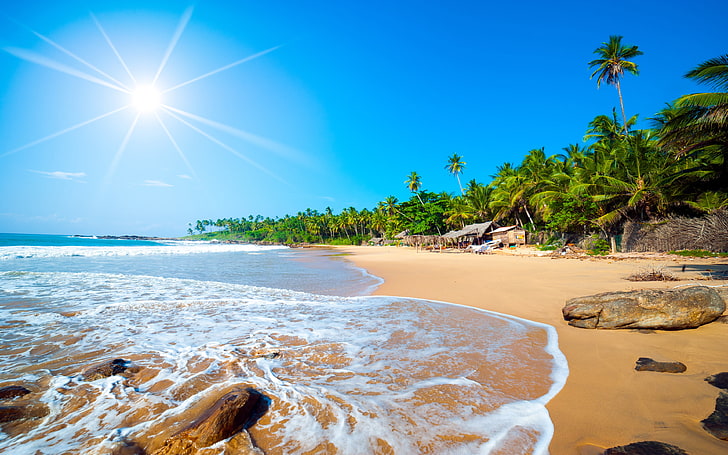 Exotic Sri Lanka Jaffna Beach Tropical Forest Palm Trees Ocean Waves Sandy Beach Ndian Ocean Tropical Hd Wallpaper 3840×2400, HD wallpaper