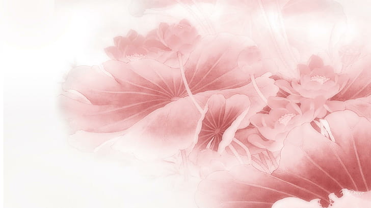 Lotus Blossom Bliss, blooms, meditate, oriental, fleur, flower, HD wallpaper