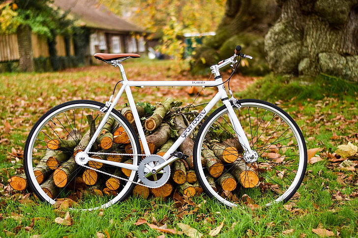 white commuter bike, bicycle, autumn, foliage, outdoors, wheel