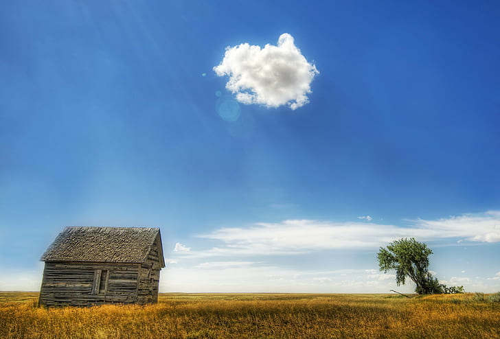 brown nipa hut under blue cloudy sky, Lonely, d2x, Portfolio, HD wallpaper