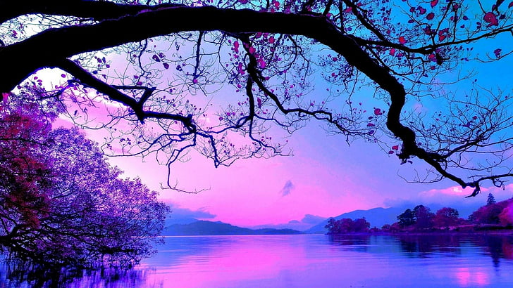 lake, water, beautyful, sky, evening, branch, purple sky, pink, HD wallpaper