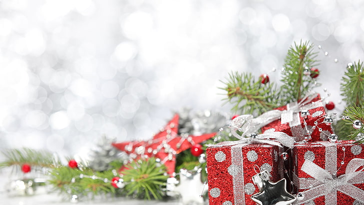 decoration, christmas, holiday, celebration, holly, winter