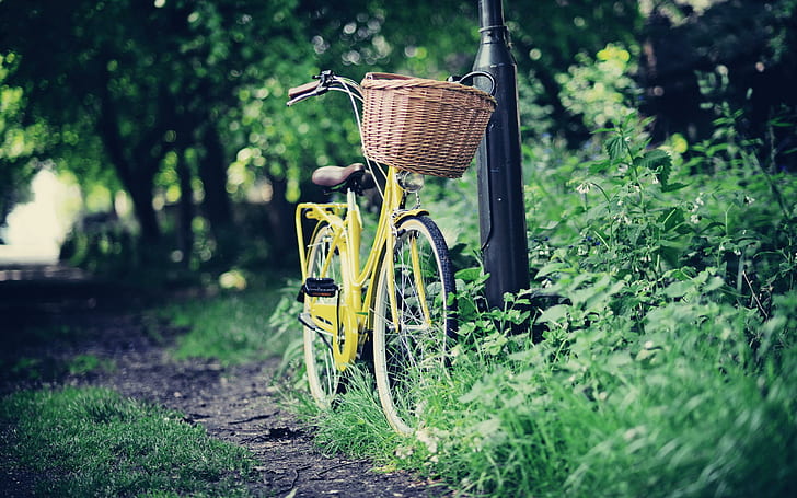 HD wallpaper: Road Bike, ride, grass, green, basket, 3d and abstract |  Wallpaper Flare