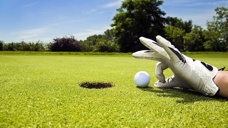 golfer, player, grass, course, sport, golfing, ball, contestant