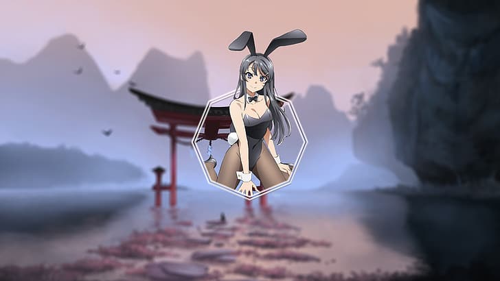 Sakurajima Mai, Seishun Buta Yarō wa Bunny Girl-senpai no Yume wo Minai, HD wallpaper