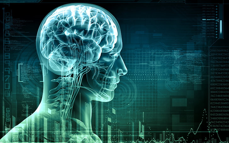 person's brain digital wallpaper, digital art, numbers, technology, HD wallpaper