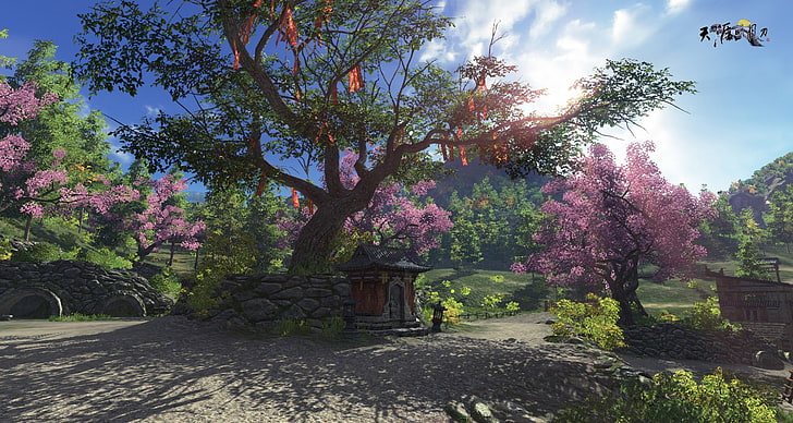 WuXia, China, gamers, tree, plant, growth, nature, flowering plant, HD wallpaper