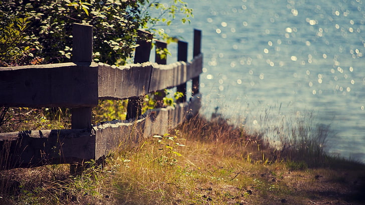 brown wooden fence, sea, landscape, nature, plant, water, no people, HD wallpaper