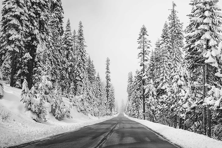 photography of winter season, Wonderland, scape, winter  road, HD wallpaper