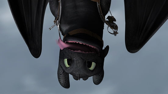 Httyd 3 Toothless Wallpaper - Download to your mobile from PHONEKY