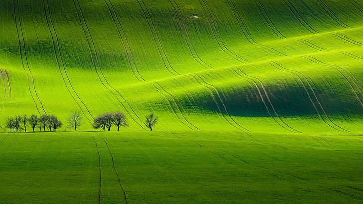 field, green field, meadow, landscape, hill, hillside, green color, HD wallpaper