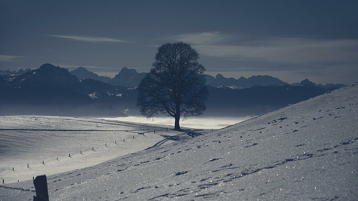 monochrome, landscape, winter, snowy, twilight