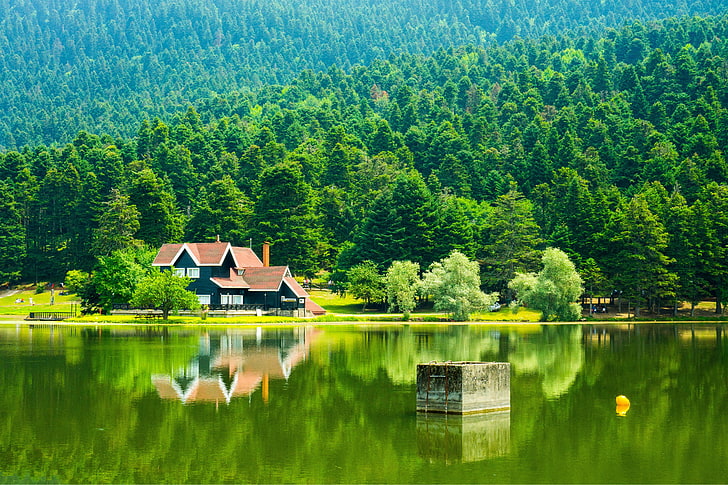 brown wooden house, green, natural light, landscape, Bolu, Gölcük Gölü