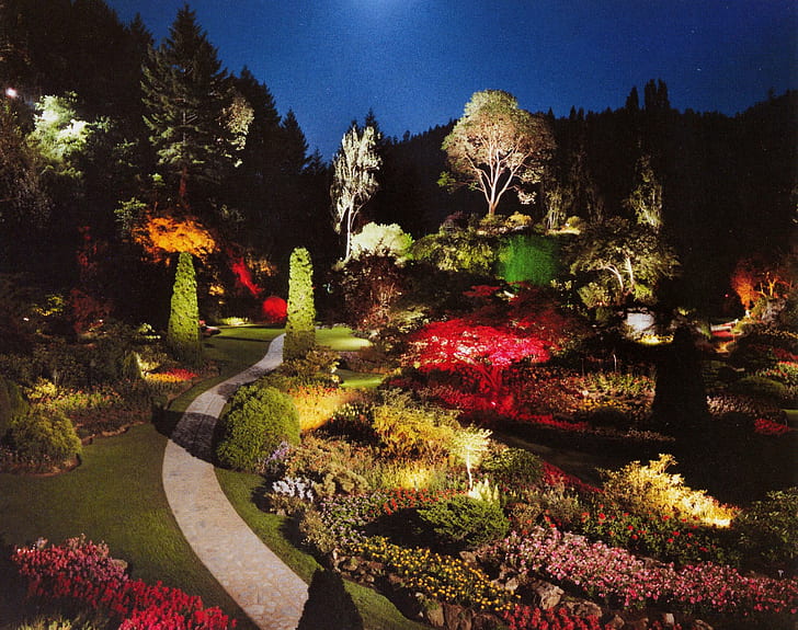 Garden At Night, lights, sunken, fantasy, magic, 3d and abstract