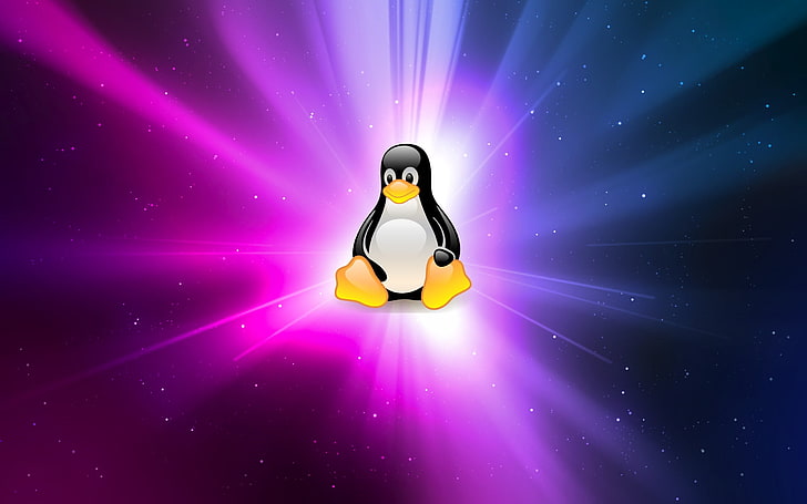 penguin illustration, Linux, GNU, Tux, purple, blue, illuminated, HD wallpaper