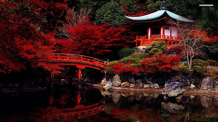 red petaled flowers, temple, Japan, pavilion, red leaves, garden