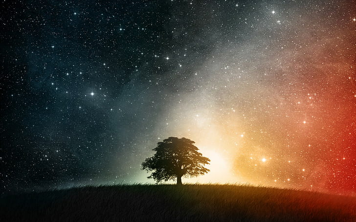 stars, trees, space, nature, universe, horizon, planet, colorful, HD wallpaper
