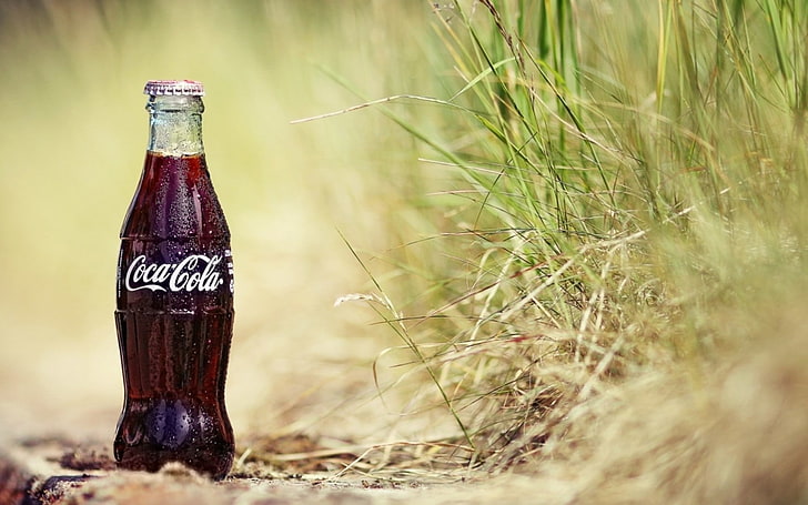 Coca-Cola, grass, bottles, selective focus, plant, no people