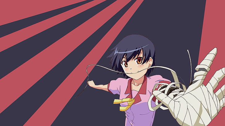 HD wallpaper: Monogatari Series, anime girls, Kanbaru Suruga, one person |  Wallpaper Flare