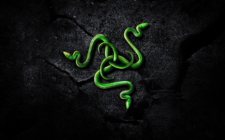 HD wallpaper: Razer Brand Logo, technology, snake, art | Wallpaper Flare