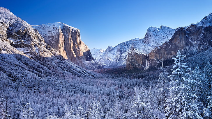 pine trees and mountain, snow, sky, Yosemite National Park, mountains, HD wallpaper