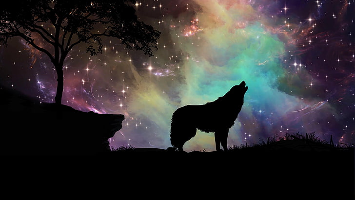 wolf, starry, sky, silhouette, art, starry night, howling, HD wallpaper