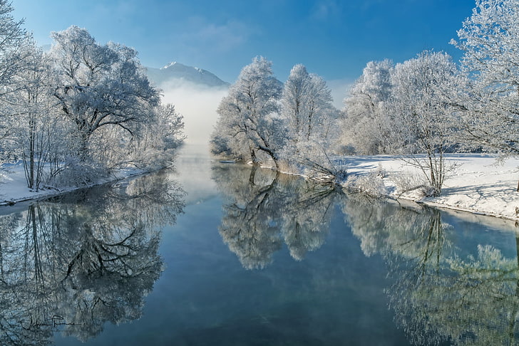 snow-covered bare trees, winter, frost, reflection, river, Germany