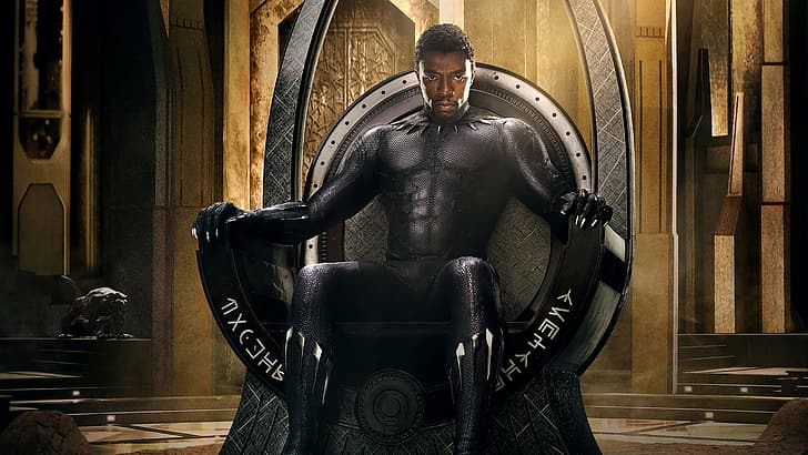 Black Panther, Marvel Cinematic Universe, MCU, Wakanda, T'challa