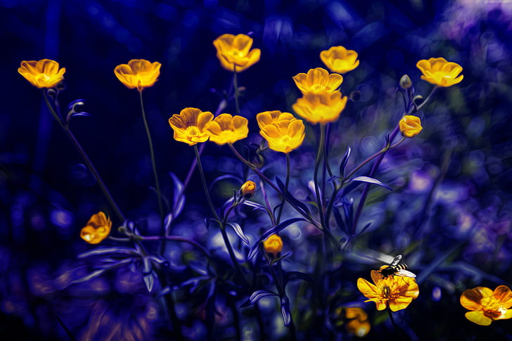 Buttercups, flowers, purple, yellow, 5k, 4k