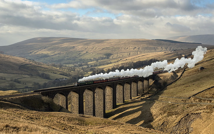 brown steam-powered train, railway, steam locomotive, nature, HD wallpaper