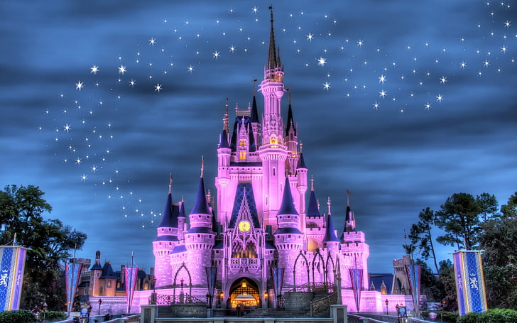 Disney Castle, night, lights, salute, disney land, architecture, HD wallpaper